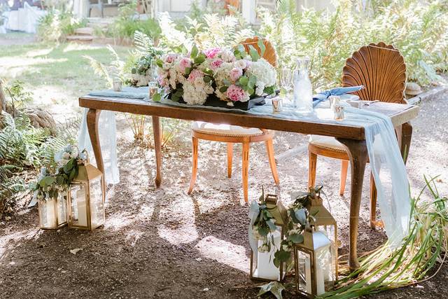 Shellback chairs