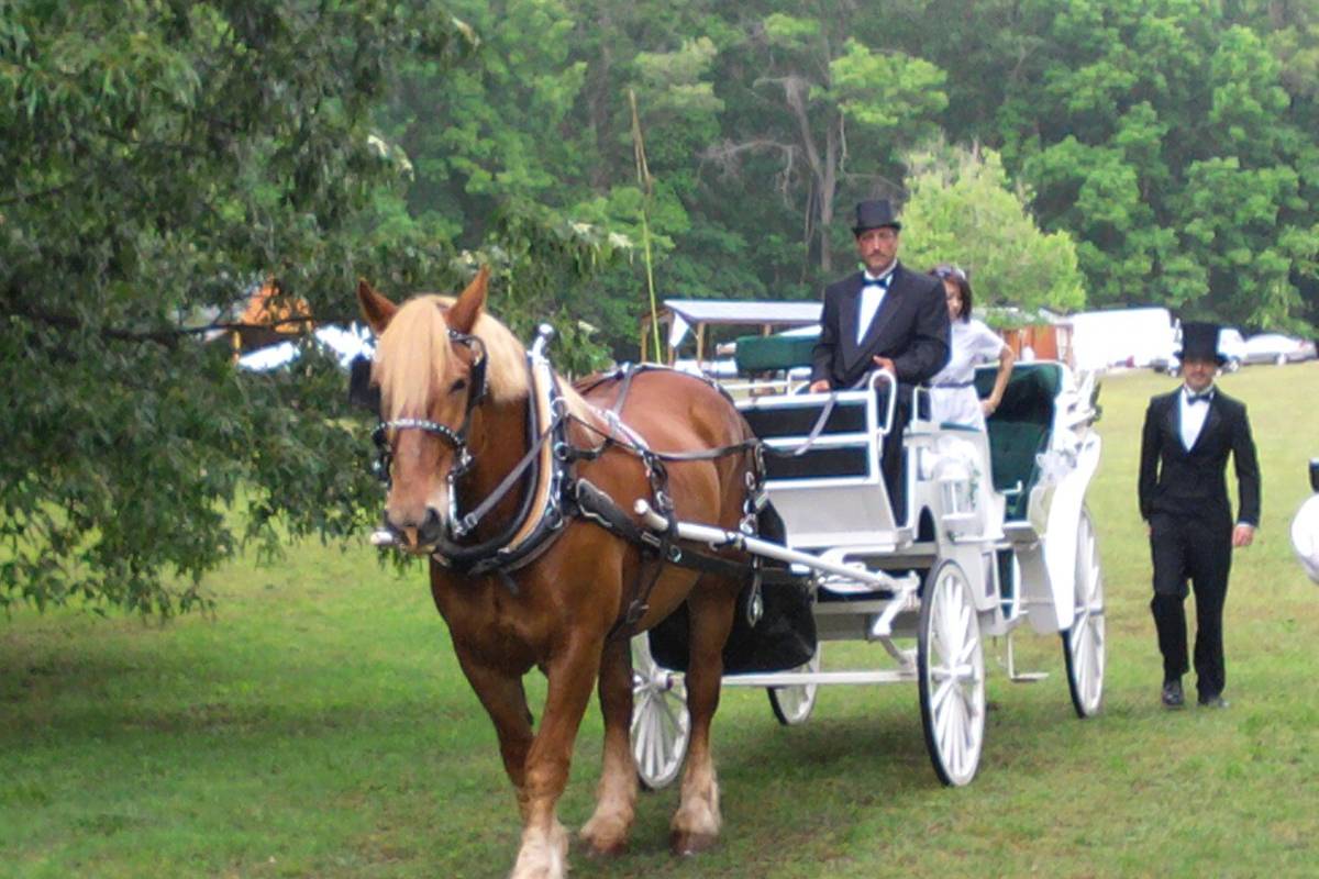 Happy Trails Horse and Carriage - Wedding Limos - Vale, NC - WeddingWire