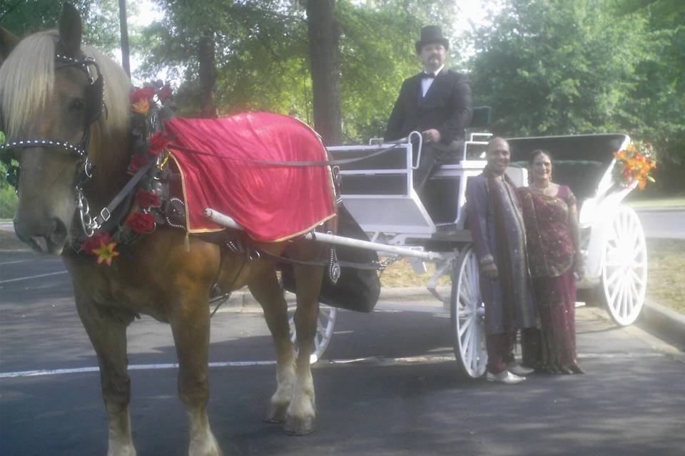 Happy Trails Horse and Carriage