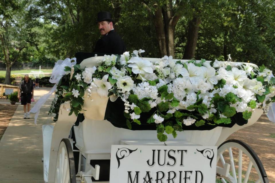 Happy Trails Horse and Carriage