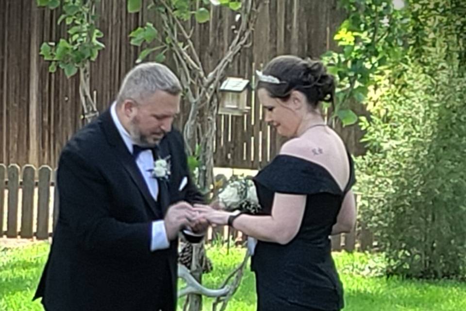 Beneath a Canopy of Love