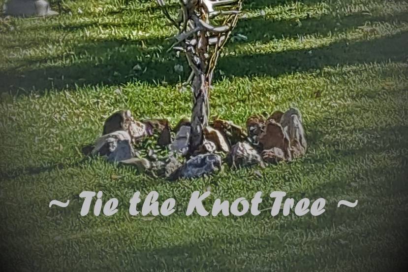 My Tie the Knot Tree!