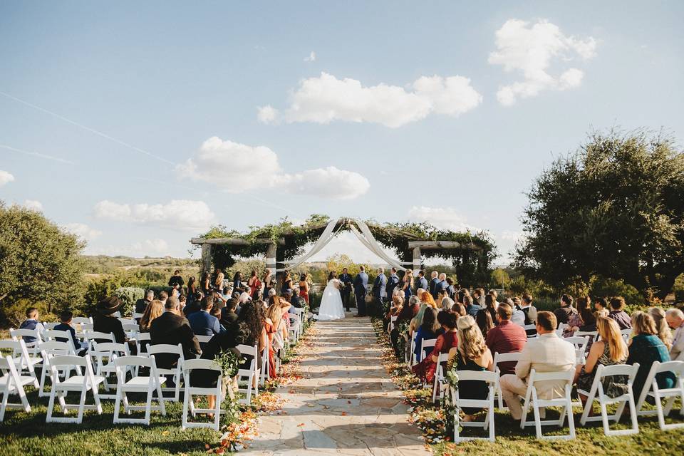 Large Outdoor Wedding