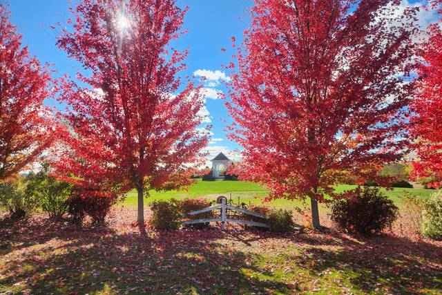 Autumn Colors