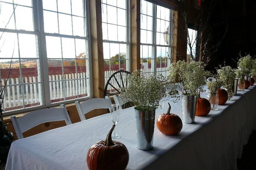 Fall foliage seen through the large back windows and deck.