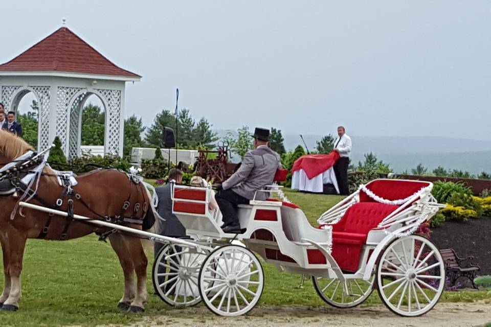 Couple's carriage