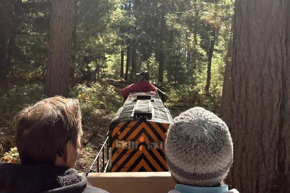 Train Ride