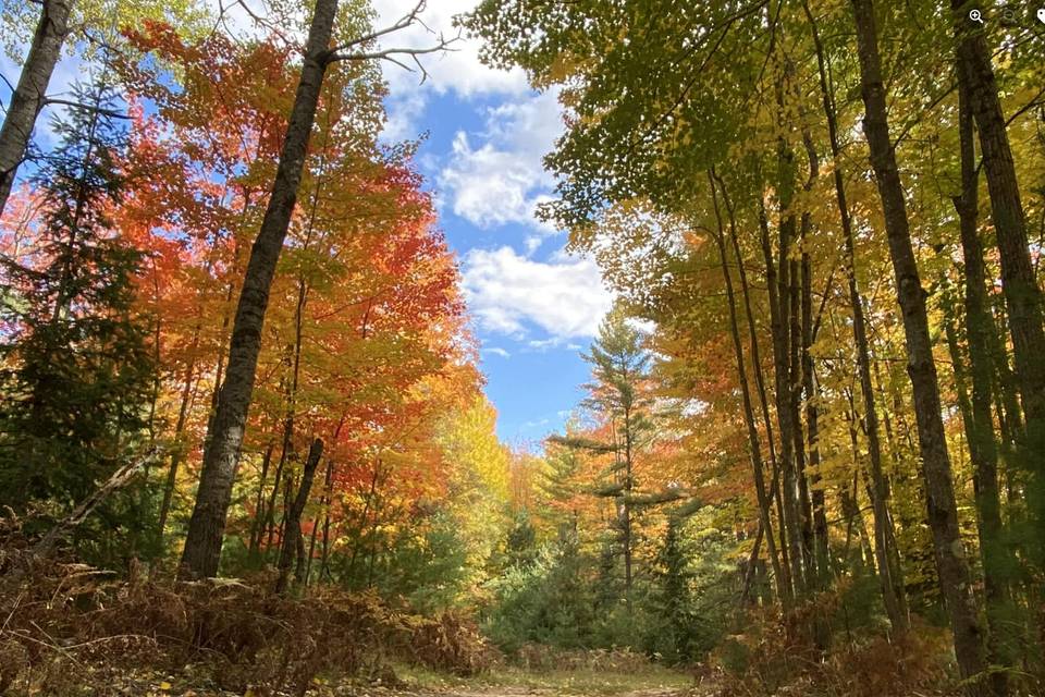 Miles of Trails