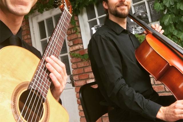 Jesse Davis Wedding Guitarist
