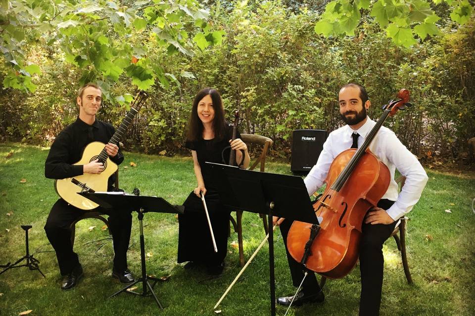 Guitar & Violin & Cello Trio