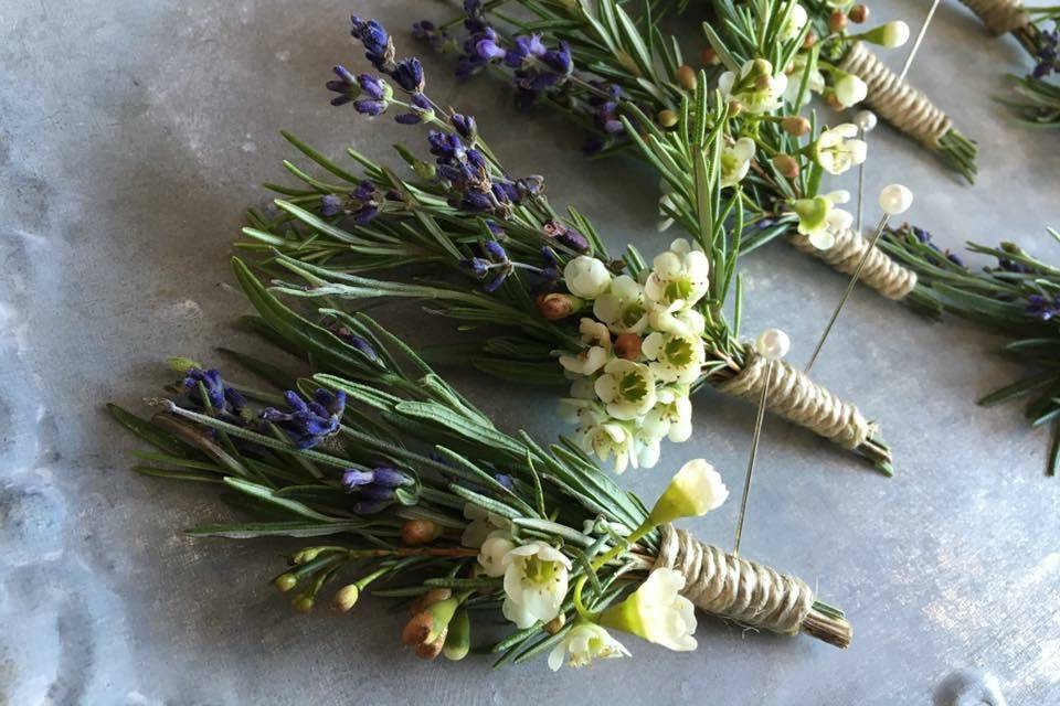 Rosemary & lavender bouts
