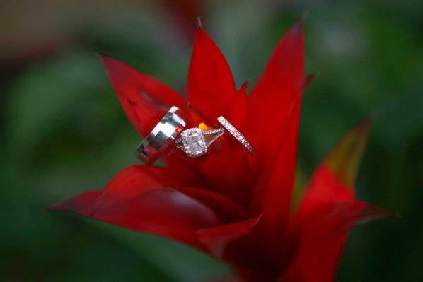 Greg G Photography