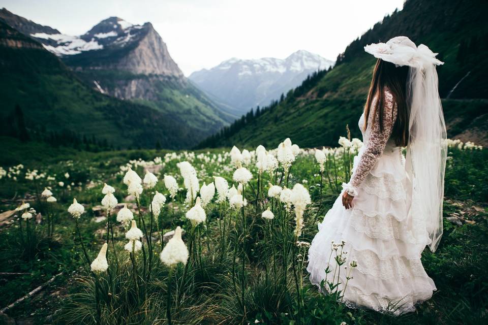 The Talented Photographer