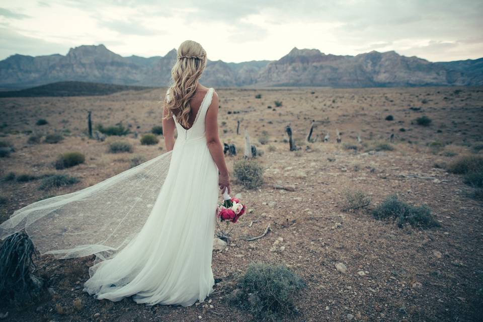 The Talented Photographer