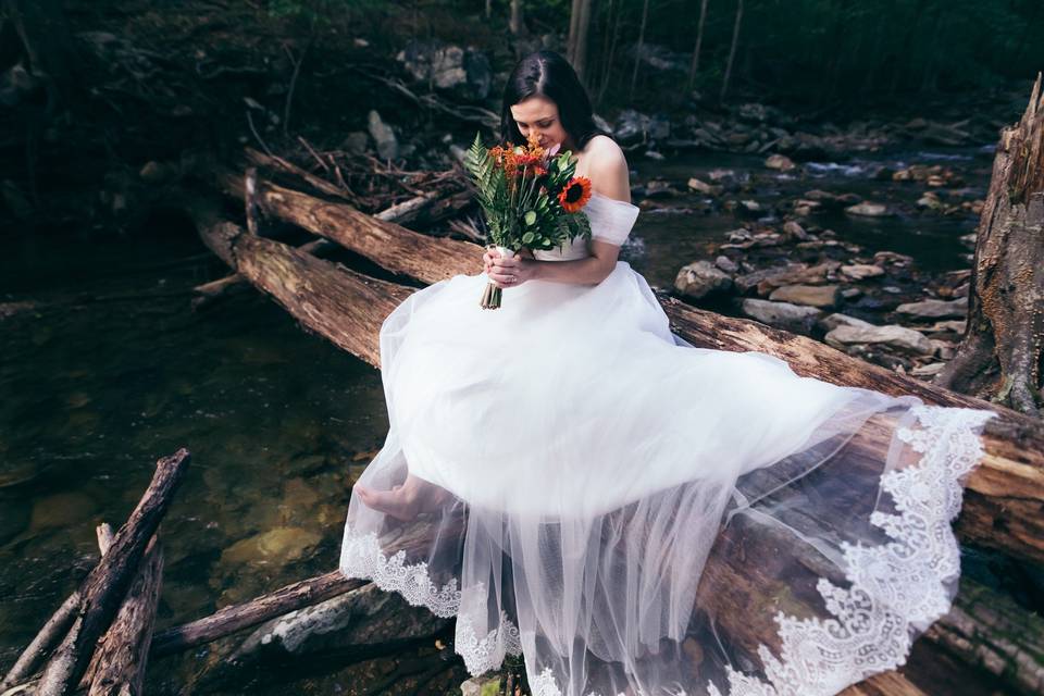 The Talented Photographer