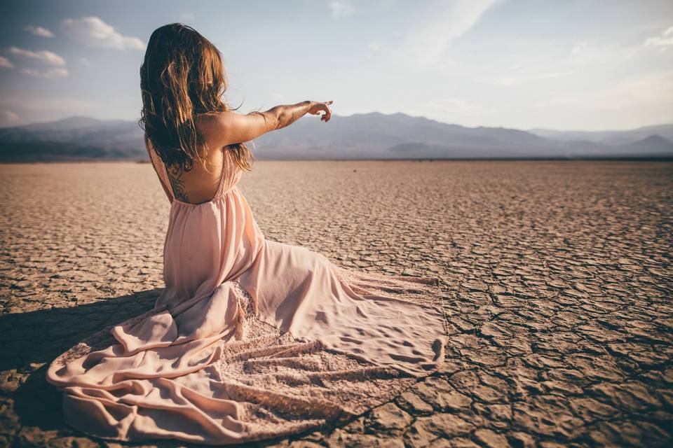 The Talented Photographer