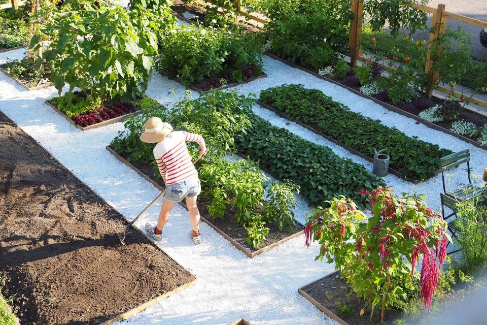 Preparing garden beds