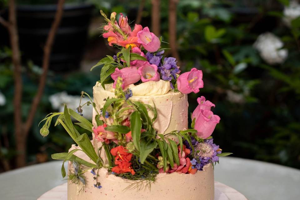 Cake