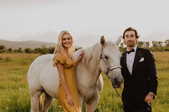 Horse and field 2