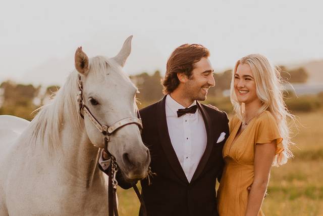 Horse and field