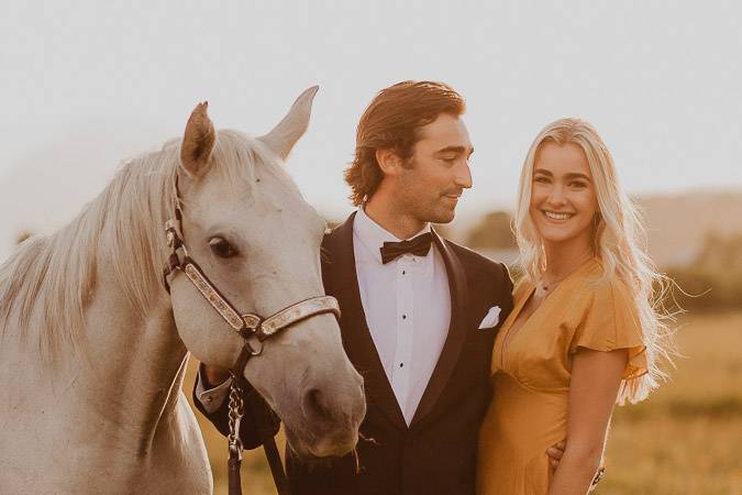 Horse and field 3