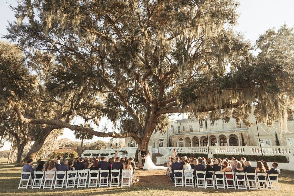 Lawn ceremony under the oak