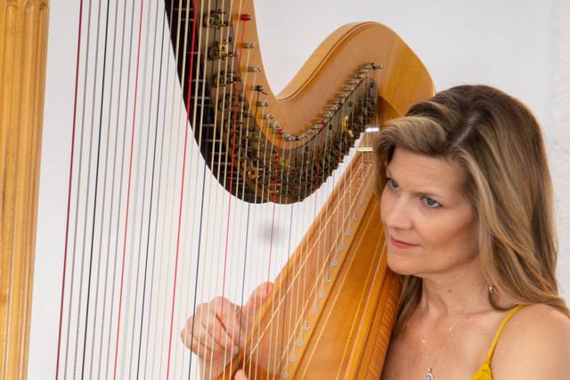 Harpist