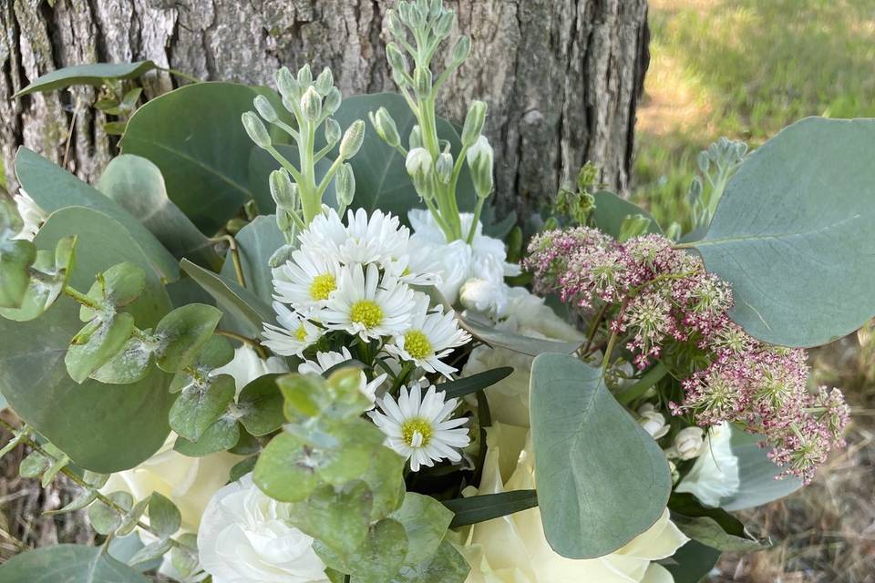 White flowers and Eud