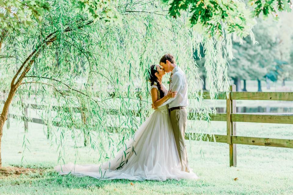 Willow wedding kisses