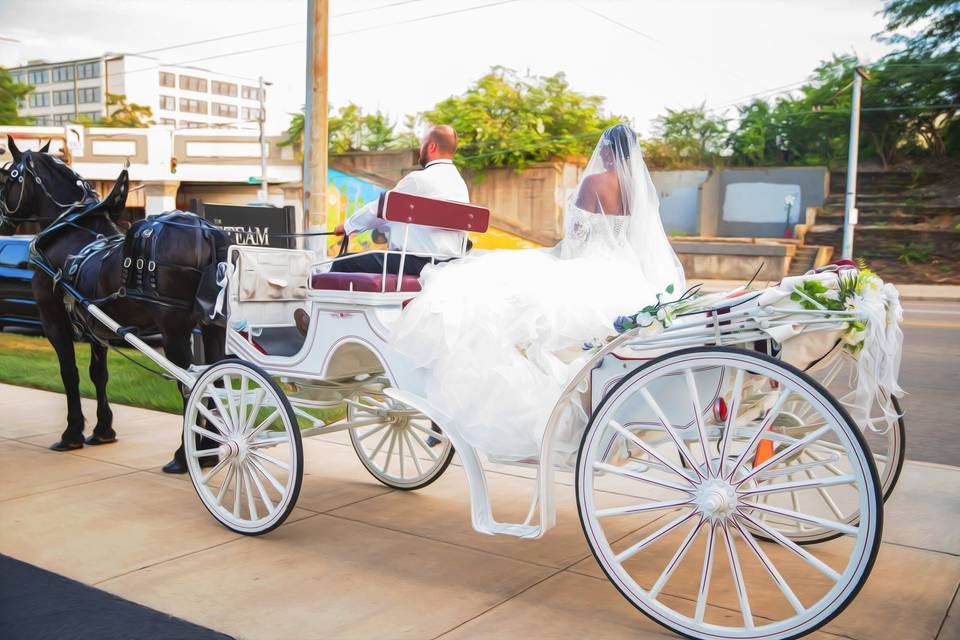 Horse and buggy wedding
