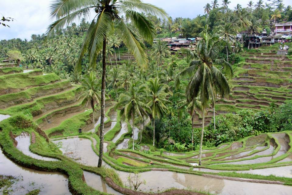 Ubud, Bali