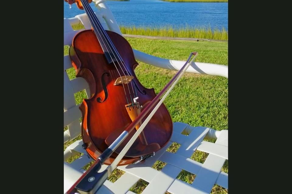 Dockside Strings