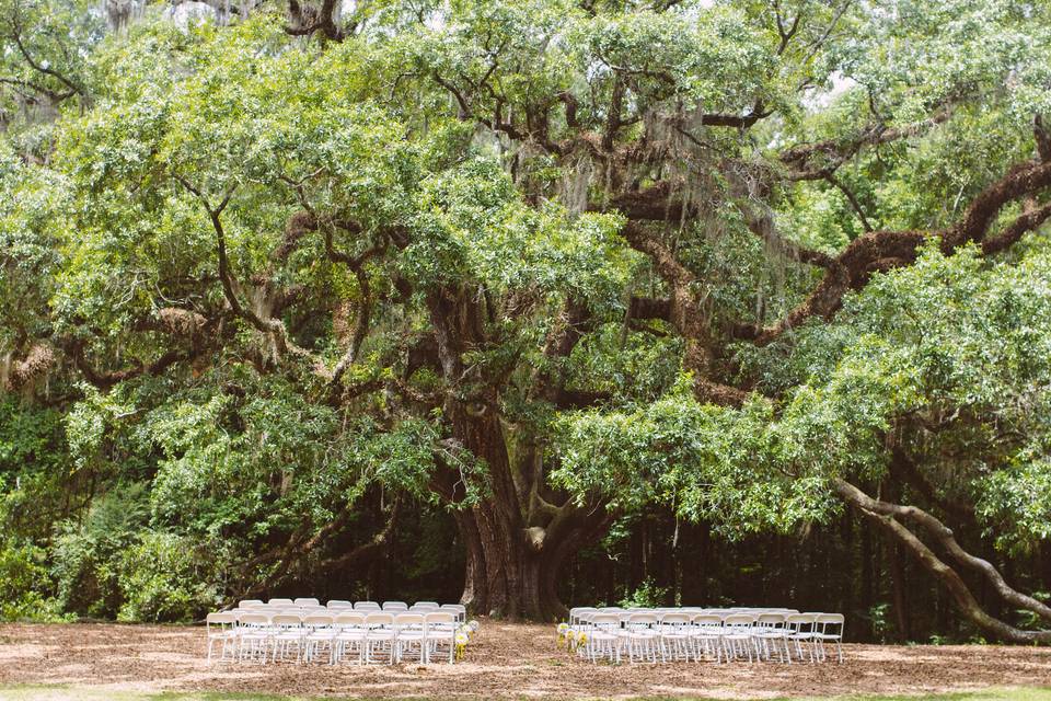 A Beautiful Wedding in Florida