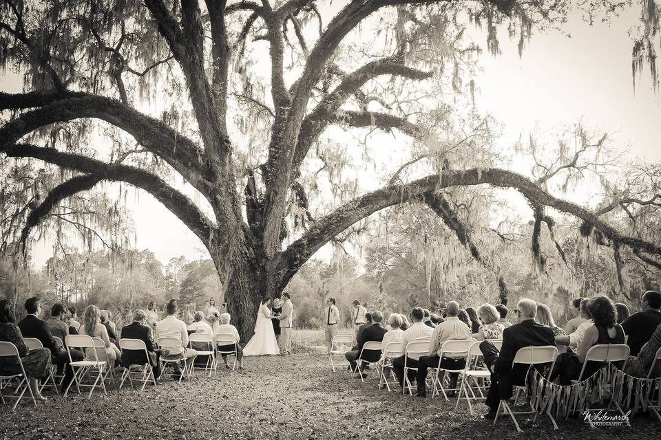 A Beautiful Wedding in Florida