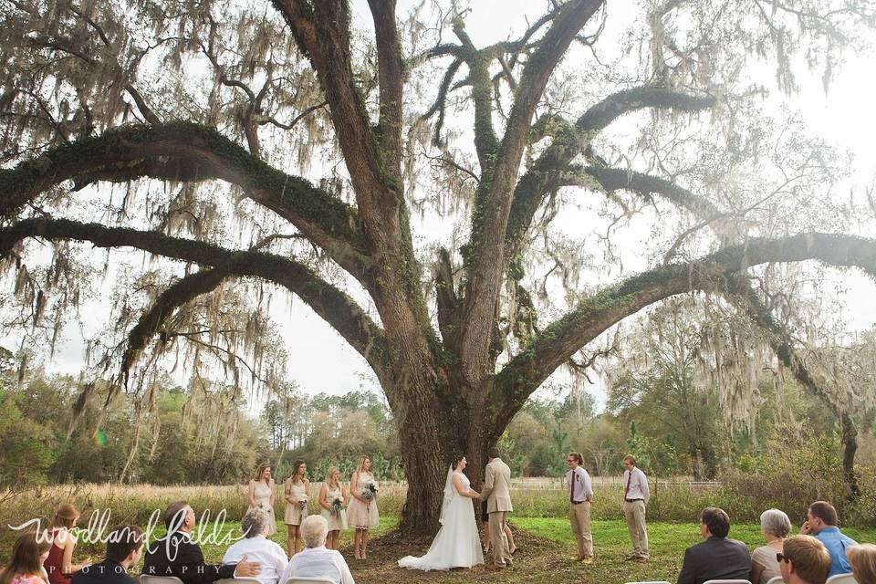 A Beautiful Wedding in Florida