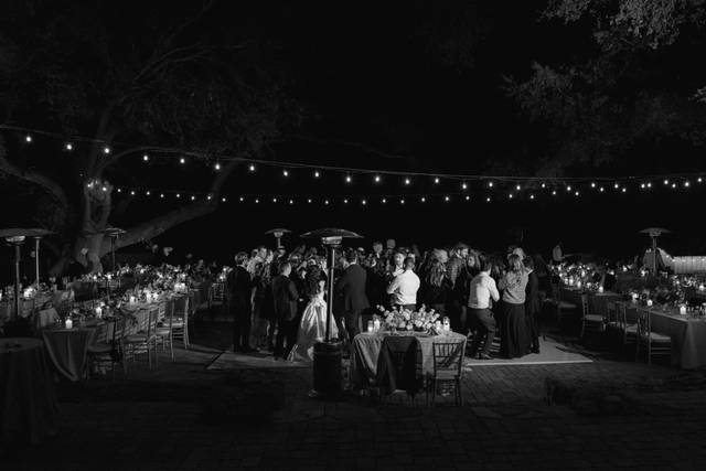 C + O Reception