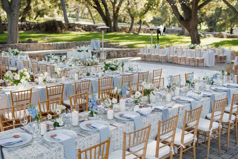 C + O Reception