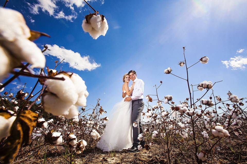 A Wedding in a Cotton Field