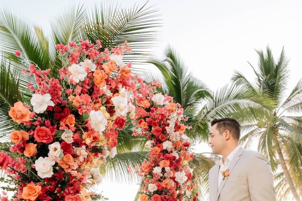 Popping reds oranges