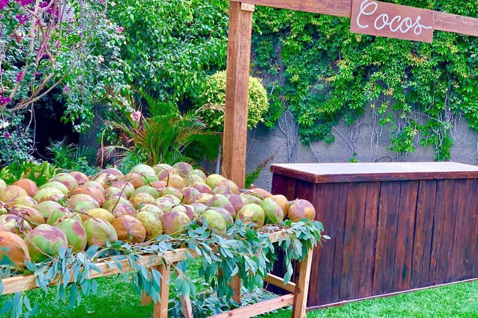 Coconut stand