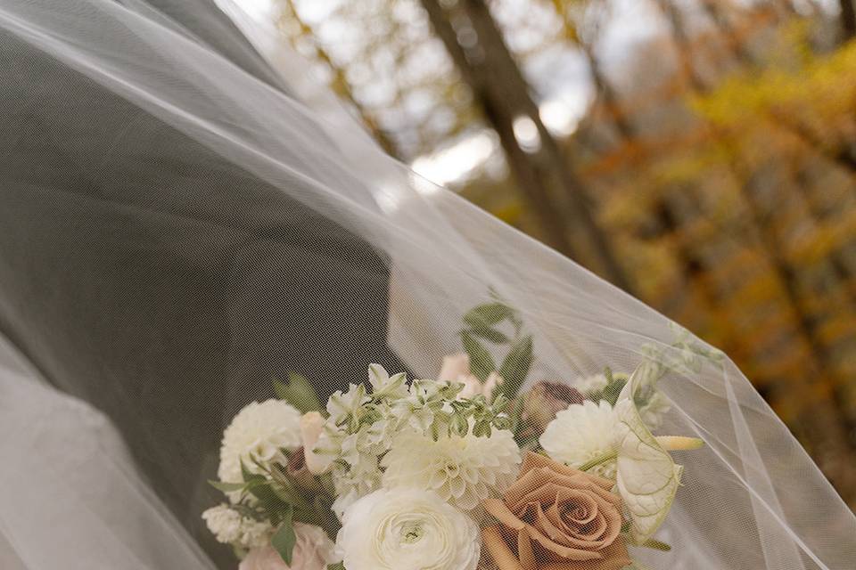 DESIREE SPENCER PHOTOGRAPHY