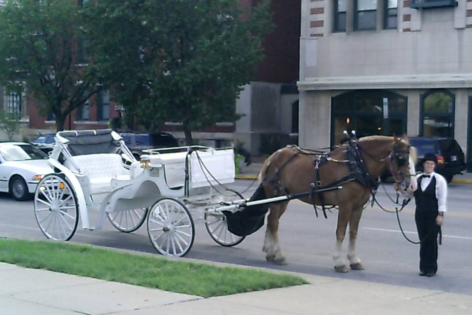 Yellow Rose Carriages