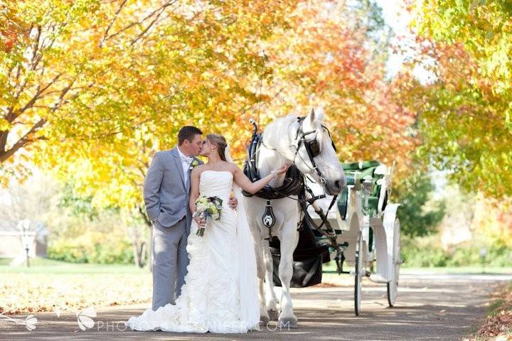 Yellow Rose Carriages