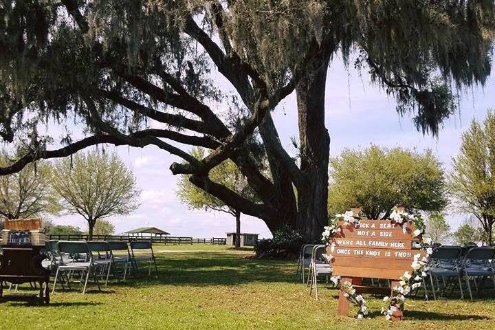 Wedding reception setup