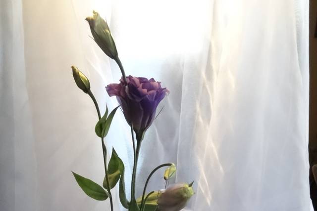 Floral centerpiece