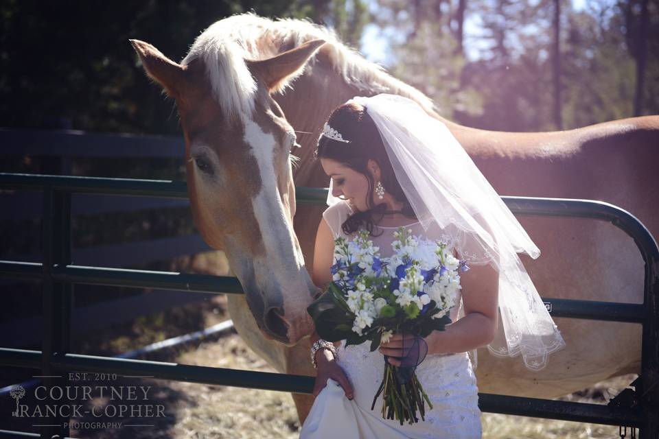 Courtney Ranck-Copher Photography
