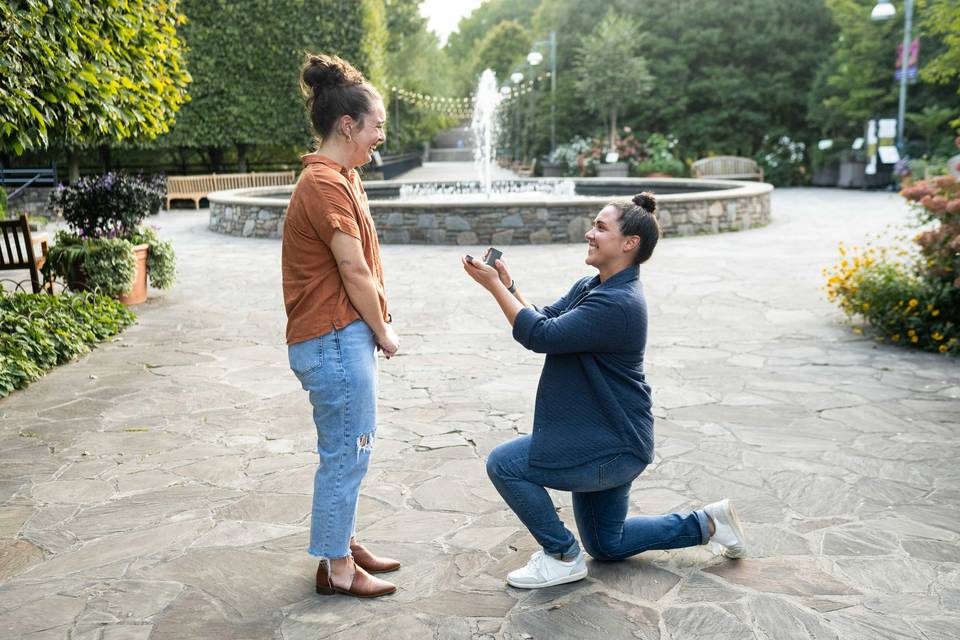 Surprise Proposal