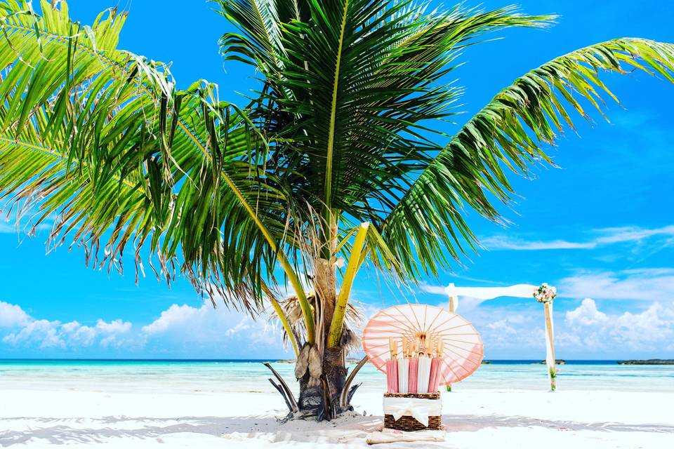 Paradise Cove Resort,  Bahamas