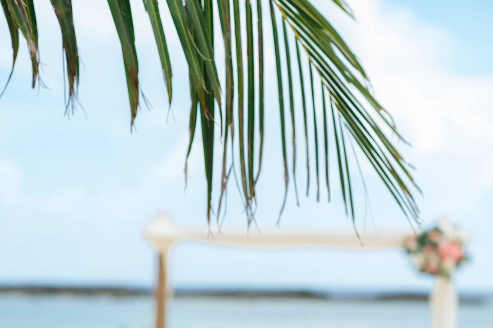 Destination beach wedding, Grand Bahama Island, Bahamas, Starfish Events, Paradise Cove Beach, Lyndah Wells Photography