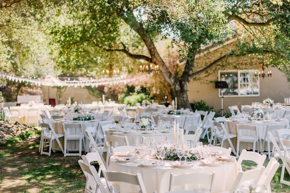 Reception View Round Tables